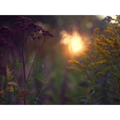 Новый мануальный объектив Индустар-50-2 f3.5/50 М42