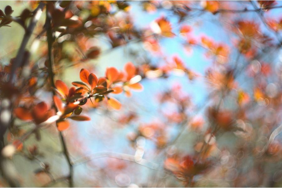 Объектив мануальный МС Гелиос 44К-4 f2/58mm for Pentax