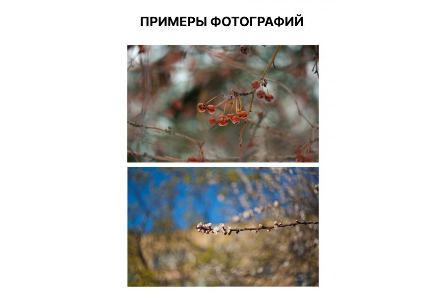 Объектив Гелиос-44М 2/58 M42 (СССР, 1980г.)