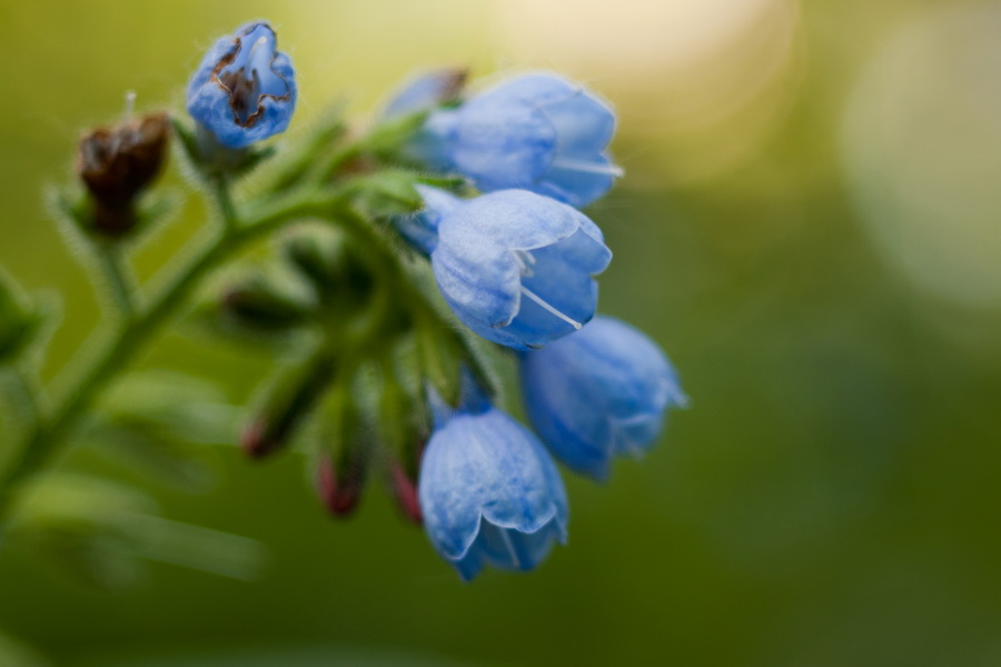 Супер макро Индустар-61Л/З 2.8/50 для Nikon