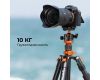 Штатив K&F Concept K255A4 + BH-28L KF09.083V2