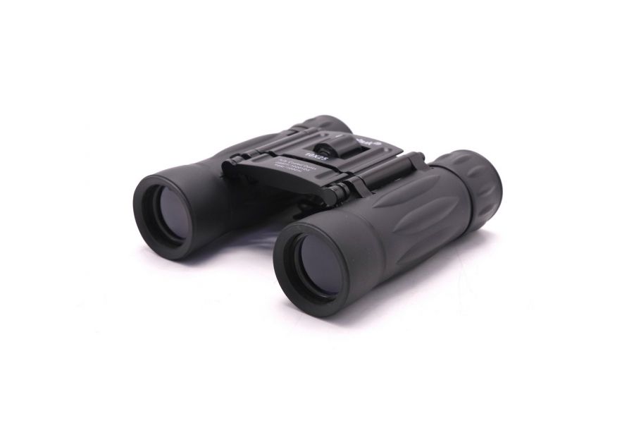 Бинокль Levenhuk Atom 10x25