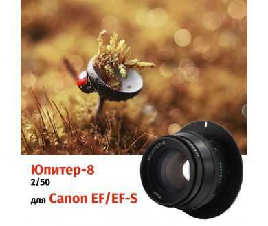 Винтажный Юпитер-8 f/2 50mm чёрный + адаптер Canon EF/EF-S — Ламповый портретник!