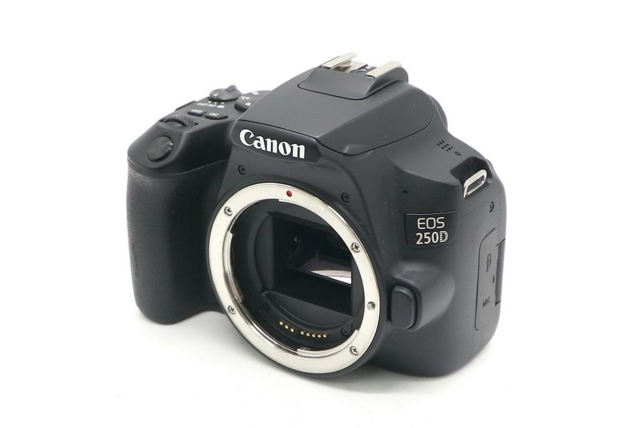 Canon EOS 250D body (пробег 10000 кадров)