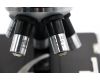 Микроскоп Lumipan Carl Zeiss Jena
