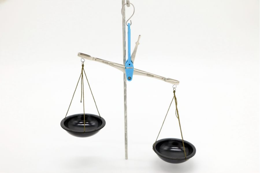 Весы бытовые (СССР, 1989)