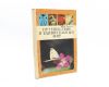 Путешествие в удивительный мир Ю. Аракчеев