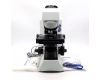Микроскоп Olympus CX31RBSF