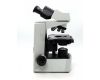 Микроскоп Olympus CX31RBSF