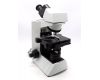Микроскоп Olympus CX31RBSF